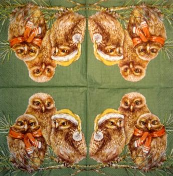 116 Owls - ply - Kalamazoo - CS - 24x24cm